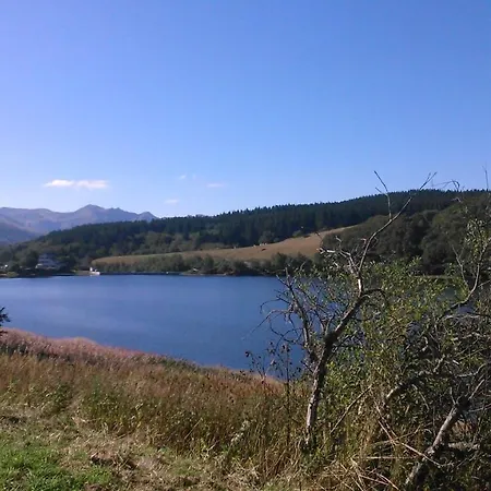 Iris, Saint Antoine, Orcival, Entre Sancy Et Volcans D'auvergne Apartamento Orcival